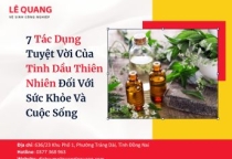 7 Tác Dụng Tuyệt Vời Của Tinh Dầu Thiên Nhiên Đối Với Sức Khỏe Và Cuộc Sống