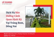 Dịch Vụ Bảo Dưỡng Cảnh Quan Định Kỳ Tại Trảng Bom, Đồng Nai