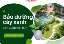 Bảo dưỡng cây xanh sân vườn biệt thự – Những điều cần biết để giữ cây luôn khỏe đẹp