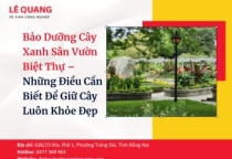 Bảo dưỡng cây xanh sân vườn biệt thự – Những điều cần biết để giữ cây luôn khỏe đẹp
