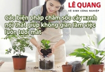 Các biện pháp chăm sóc cây xanh nội thất giúp không gian làm việc luôn tươi mát