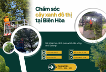 Chăm sóc cây xanh đô thị tại Biên Hòa: Giải pháp tạo cảnh quan xanh bền vững Chăm sóc cây xanh đô thị tại Biên Hòa: Giải pháp tạo cảnh quan xanh bền vững
