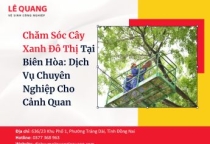 Chăm Sóc Cây Xanh Đô Thị Tại Biên Hòa: Dịch Vụ Chuyên Nghiệp Cho Cảnh Quan