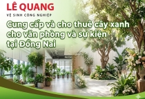 Cung cấp và cho thuê cây xanh cho văn phòng và sự kiện tại Đồng Nai