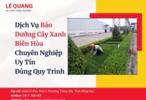 Dịch Vụ Bảo Dưỡng Cây Xanh Biên Hòa: Chuyên Nghiệp – Uy Tín – Đúng Quy Trình
