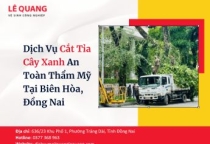 Dịch Vụ Cắt Tỉa Cây Xanh An Toàn Thẩm Mỹ Tại Biên Hòa, Đồng Nai 
