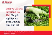 Dịch Vụ Cắt Tỉa Cây Xanh Đô Thị: Chuyên Nghiệp, An Toàn Tại Các Khu Dân Cư