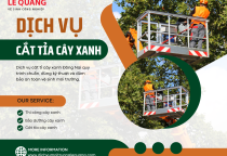 Dịch vụ cắt tỉa cây xanh tại Đồng Nai: Thủ thuật và quy trình chuyên nghiệp Dịch vụ cắt tỉa cây xanh tại Đồng Nai: Thủ thuật và quy trình chuyên nghiệp