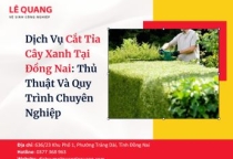 Dịch Vụ Cắt Tỉa Cây Xanh Tại Đồng Nai: Thủ Thuật Và Quy Trình Chuyên Nghiệp