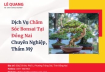 Dịch Vụ Chăm Sóc Bonsai Tại Đồng Nai Chuyên Nghiệp, Thẩm Mỹ
