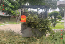 Dự án cắt tỉa cây xanh Công ty dệt TAINAN - KCN Biên Hoà 2