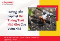Hướng Dẫn Lắp Đặt Hệ Thống Tưới Nhỏ Giọt Cho Vườn Nhà 
