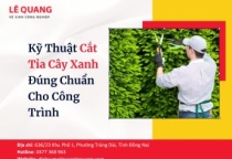 Kỹ Thuật Cắt Tỉa Cây Xanh Đúng Chuẩn Cho Công Trình 