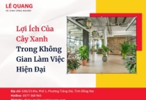 Lợi Ích Của Cây Xanh Trong Không Gian Làm Việc Hiện Đại