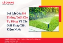 Lợi Ích Của Hệ Thống Tưới Cây Tự Động Và Các Giải Pháp Tiết Kiệm Nước 