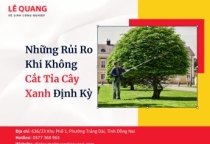 Những Rủi Ro Khi Không Cắt Tỉa Cây Xanh Định Kỳ