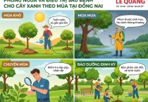 Phòng ngừa và điều trị sâu bệnh cho cây xanh theo mùa tại Đồng Nai