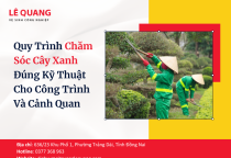 Quy Trình Chăm Sóc Cây Xanh Đúng Kỹ Thuật Cho Công Trình Và Cảnh Quan
