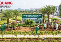 Thi Công Trồng Cây Xanh Cảnh Quan Tại Nhơn Trạch, Đồng Nai