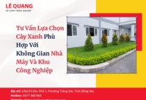 Tư Vấn Lựa Chọn Cây Xanh Phù Hợp Với Không Gian Nhà Máy Và Khu Công Nghiệp 