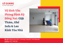 Vệ Sinh Văn Phòng Định Kỳ Đồng Nai: Giặt Thảm, Ghế Sofa & Lau Kính Tòa Nhà
