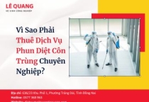 Vì Sao Phải Thuê Dịch Vụ Phun Diệt Côn Trùng Chuyên Nghiệp?