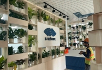 Cho thuê cây xanh văn phòng tại Biên Hòa