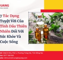 7 Tác Dụng Tuyệt Vời Của Tinh Dầu Thiên Nhiên Đối Với Sức Khỏe Và Cuộc Sống