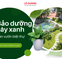 Bảo dưỡng cây xanh sân vườn biệt thự – Những điều cần biết để giữ cây luôn khỏe đẹp