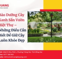 Bảo dưỡng cây xanh sân vườn biệt thự – Những điều cần biết để giữ cây luôn khỏe đẹp