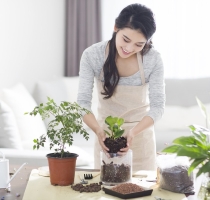 Bí quyết bảo dưỡng và phòng bệnh cho cây cảnh tại nhà hiệu quả nhất