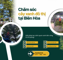 Chăm sóc cây xanh đô thị tại Biên Hòa: Giải pháp tạo cảnh quan xanh bền vững