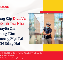 Cung Cấp Dịch Vụ Vệ Sinh Tòa Nhà Chuyên Gia, Trung Tâm Thương Mại Tại KCN Đồng Nai