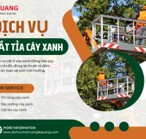 Dịch vụ cắt tỉa cây xanh tại Đồng Nai: Thủ thuật và quy trình chuyên nghiệp