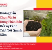Hướng Dẫn Chọn Và Sử Dụng Phân Bón Để Cây Cảnh Tươi Tốt Quanh Năm