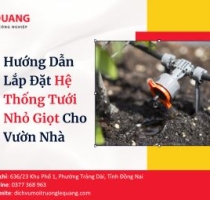 Hướng Dẫn Lắp Đặt Hệ Thống Tưới Nhỏ Giọt Cho Vườn Nhà 