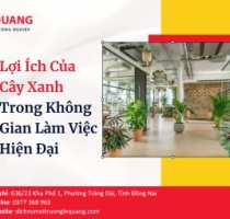 Lợi Ích Của Cây Xanh Trong Không Gian Làm Việc Hiện Đại