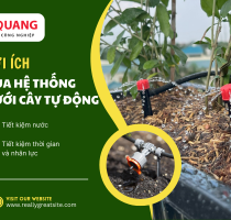 Lợi ích của hệ thống tưới cây tự động và các giải pháp tiết kiệm nước tại Đồng Nai
