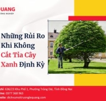 Những Rủi Ro Khi Không Cắt Tỉa Cây Xanh Định Kỳ