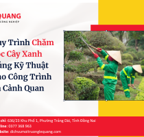 Quy Trình Chăm Sóc Cây Xanh Đúng Kỹ Thuật Cho Công Trình Và Cảnh Quan