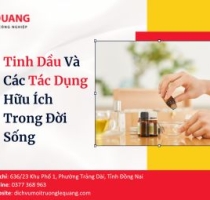 Tinh Dầu Và Các Tác Dụng Hữu Ích Trong Đời Sống