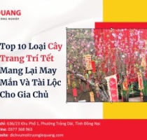 Top 10 Loại Cây Trang Trí Tết Mang Lại May Mắn Và Tài Lộc Cho Gia Chủ
