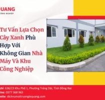 Tư Vấn Lựa Chọn Cây Xanh Phù Hợp Với Không Gian Nhà Máy Và Khu Công Nghiệp 