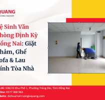 Vệ Sinh Văn Phòng Định Kỳ Đồng Nai: Giặt Thảm, Ghế Sofa & Lau Kính Tòa Nhà