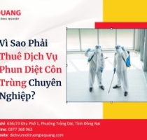 Vì Sao Phải Thuê Dịch Vụ Phun Diệt Côn Trùng Chuyên Nghiệp?