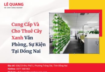 Cung Cấp Và Cho Thuê Cây Xanh Văn Phòng, Sự Kiện Tại Đồng Nai