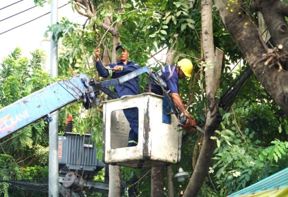 Dịch vụ cắt tỉa cây xanh an toàn theo quy chuẩn tại Lê Quang