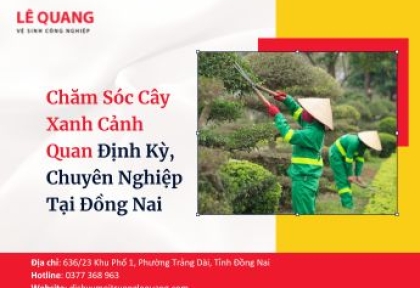 Chăm Sóc Cây Xanh Cảnh Quan Định Kỳ, Chuyên Nghiệp Tại Đồng Nai