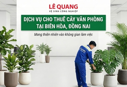 Dịch Vụ Cho Thuê Cây Văn Phòng Tại Biên Hòa, Đồng Nai