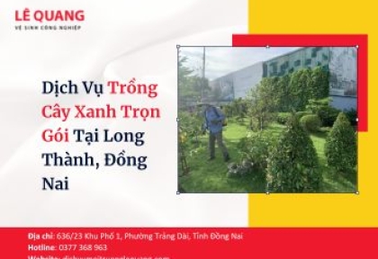 Dịch Vụ Trồng Cây Xanh Trọn Gói Tại Long Thành, Đồng Nai